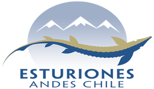 esturiones